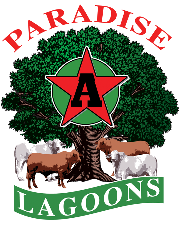 Paradise Lagoons Campdraft